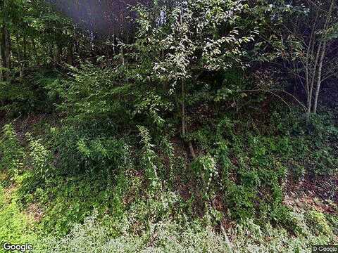 Kents Ridge, CEDAR BLUFF, VA 24609