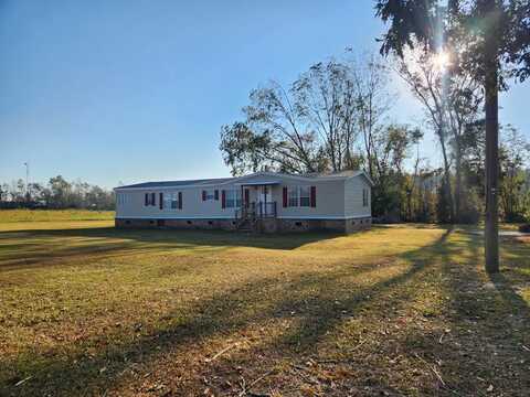 Walnut, LYONS, GA 30436