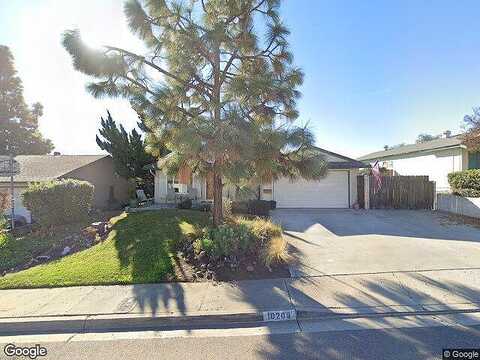 Maple Tree, SANTEE, CA 92071