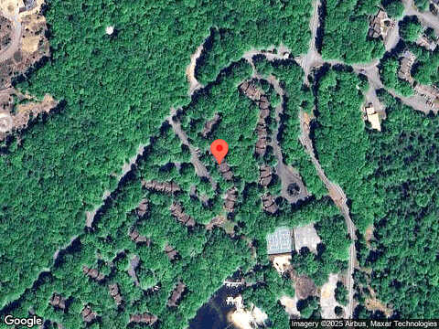 Red Fox, LAKE HARMONY, PA 18624