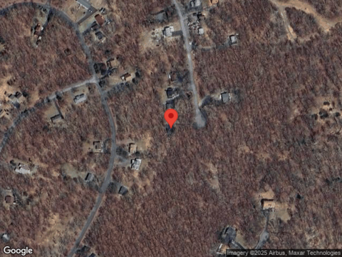 Mockingbird, BUSHKILL, PA 18324
