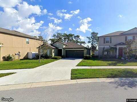 Wildflower Meadow, RIVERVIEW, FL 33579