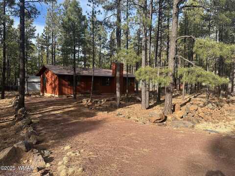 Mark Twain, PINETOP, AZ 85935