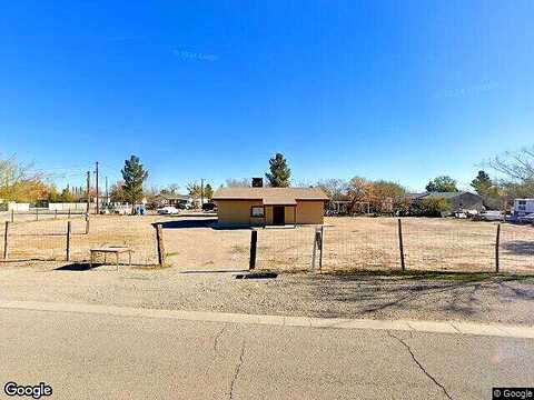 Petunia, SAN ELIZARIO, TX 79849