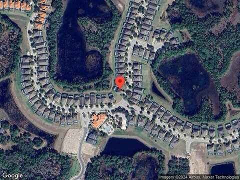 Orange Cosmos, DAVENPORT, FL 33837