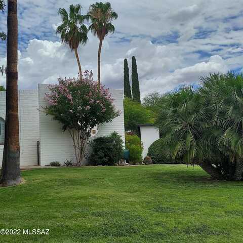 Las Lomitas, TUCSON, AZ 85704