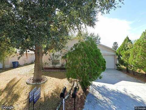Verbena, DAVENPORT, FL 33837