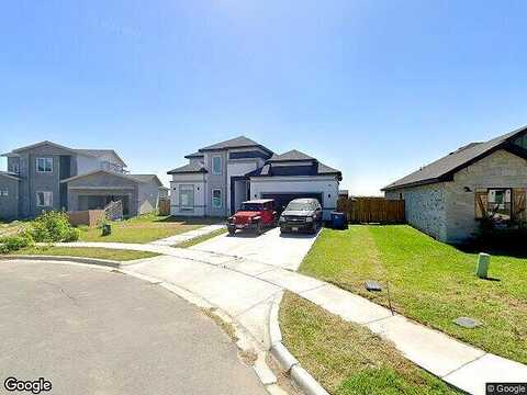 Heron, LOS FRESNOS, TX 78566