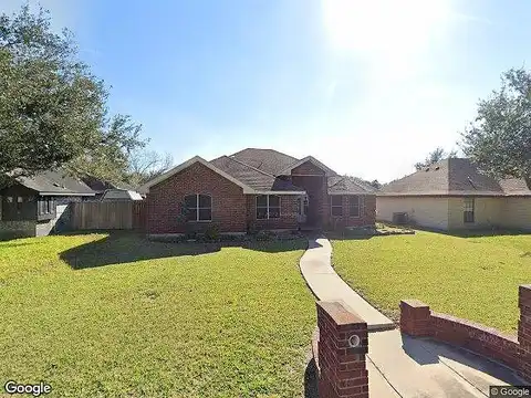 Daffodil, PHARR, TX 78577