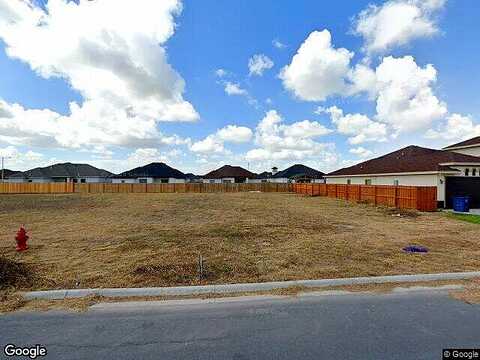 Areca Palm, LOS FRESNOS, TX 78566