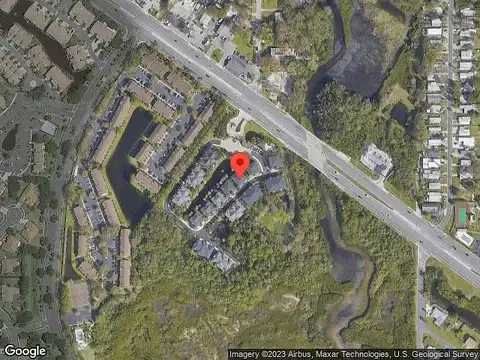 Anhinga, TAMPA, FL 33615