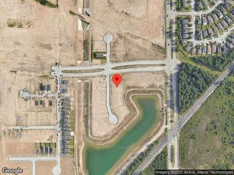 California Lily, HOUSTON, TX 77016