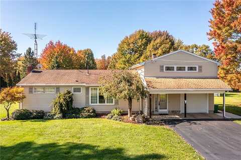Lininger, GREENVILLE, PA 16125