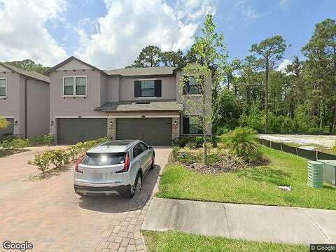 San Martino, WESLEY CHAPEL, FL 33543