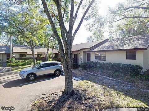 Buttonbush, PALM HARBOR, FL 34684