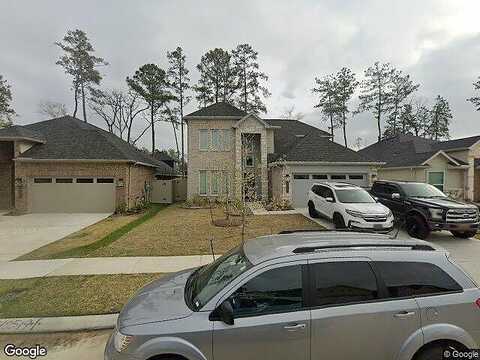Goldeneye, MAGNOLIA, TX 77354