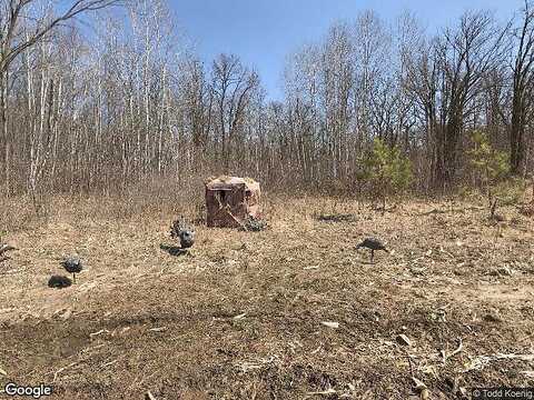 Hill, OGILVIE, MN 56358