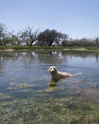 Fm 765, LOHN, TX 76852