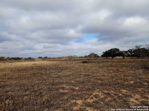 Pr Olga, POTEET, TX 78065