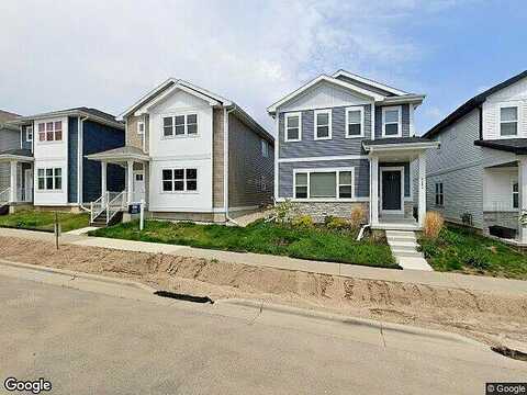 Romaine, FITCHBURG, WI 53711