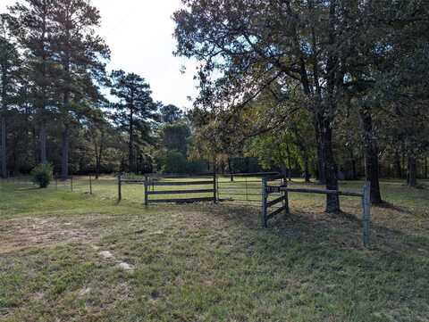 County Road 351, PLANTERSVILLE, TX 77363