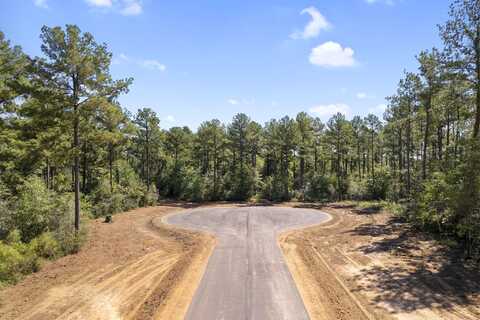 Cedar Meadow, PLANTERSVILLE, TX 77363