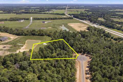 Cedar Meadow, PLANTERSVILLE, TX 77363