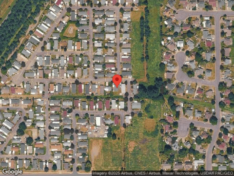 Douglas Fir, Enumclaw, WA 98022