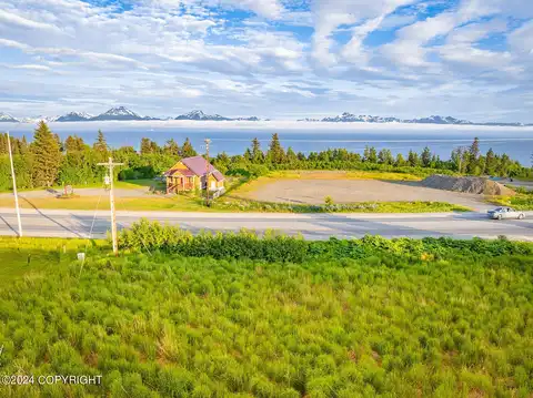 3658 Forest Glen Drive, Homer, AK 99603