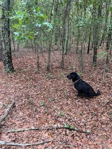 3096 Boise Cascade Road, Kershaw, SC 29067