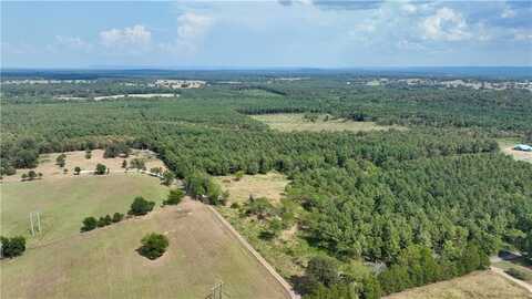 11027 Cowger LN, Dardanelle, AR 72834