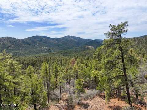 0 E Bald Mountain Road, Prescott, AZ 86303