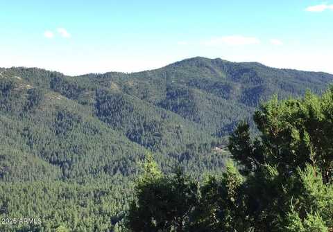 0 E Bald Mountain Road, Prescott, AZ 86303