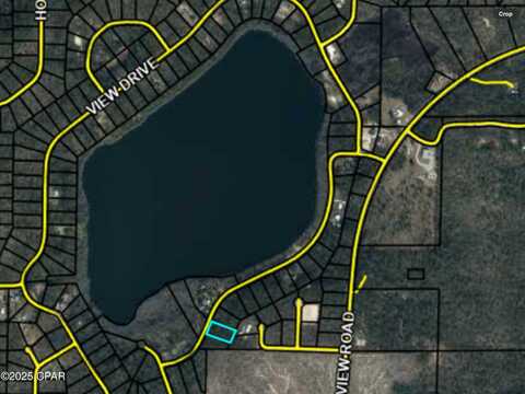 View Drive, Alford, FL 32420