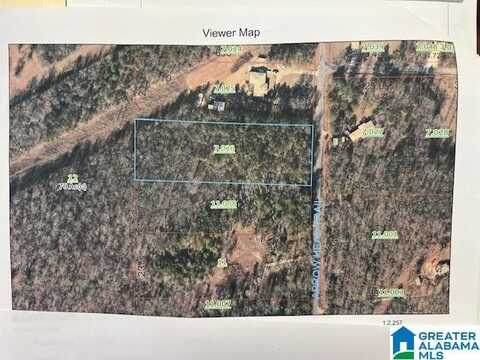 ARROWHEAD LANE, COUNTY, AL 35160