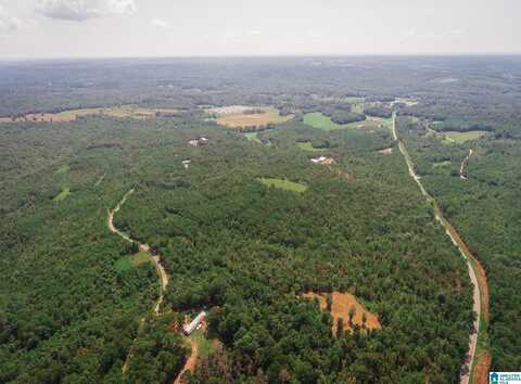 200 TABLEE LANE, ASHLAND, AL 36251