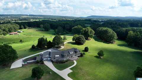 301 KORNEGAY ROAD, ONEONTA, AL 35121