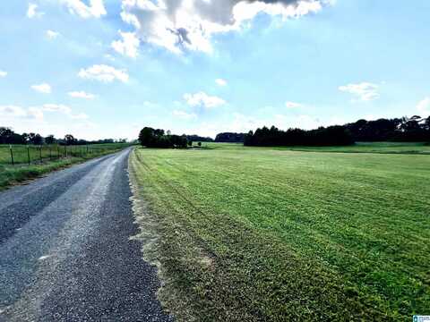 0 BAILEY ROAD, BAILEYTON, AL 35019