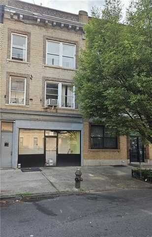 317 Albany Avenue, Brooklyn, NY 11213