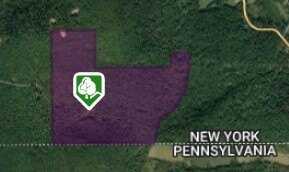 253 Fenescey Road, Windsor, NY 13865