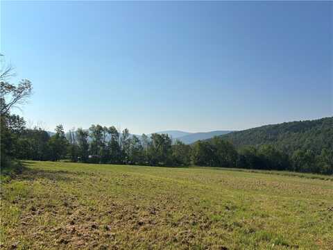 788 Bragg Hollow Road, Middletown, NY 12438