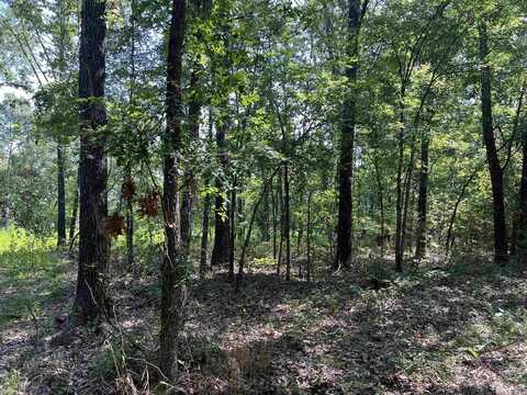 47 Cedar Creek Drive, Harrison, AR 72601