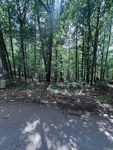 34 & 37 Almendra Ln, Hot Springs Village, AR 71909