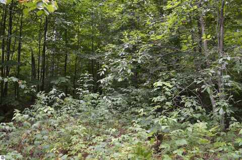 NE DAPOKIE TRAIL, KALKASKA, MI 49646