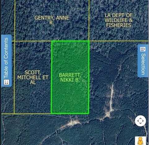 0 CAMP HARDTNER None, Pollock, LA 71467