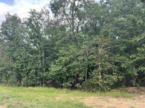 0 Cliff Road, Pelion, SC 29123