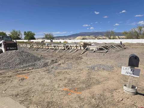 15101 Silver Belle Street, Delta, CO 81416