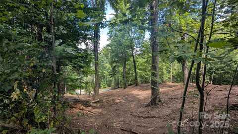 Chestnut Walk Drive unit: 2, Waynesville, NC 28786