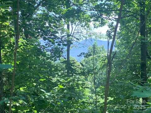 1915 Creston Drive unit: T-18, Black Mountain, NC 28711