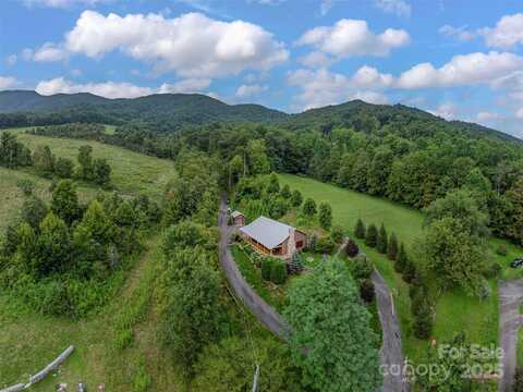 180 Raven Rock Drive, Waynesville, NC 28786